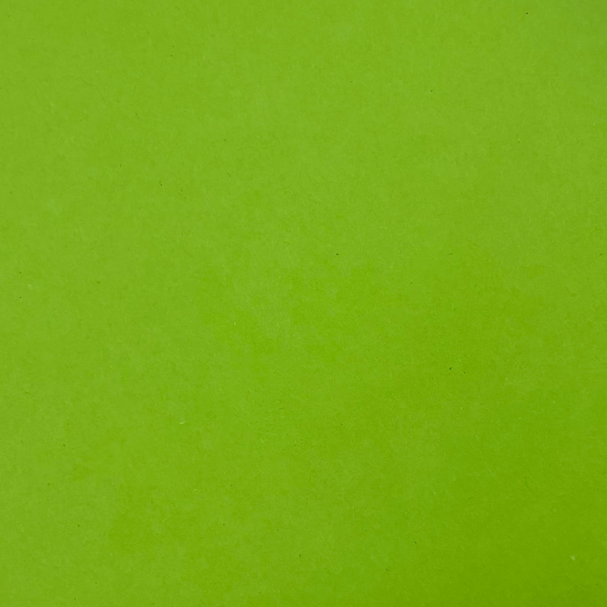 Apple Green A4 Plain Coloured Cardstock | 240GSM