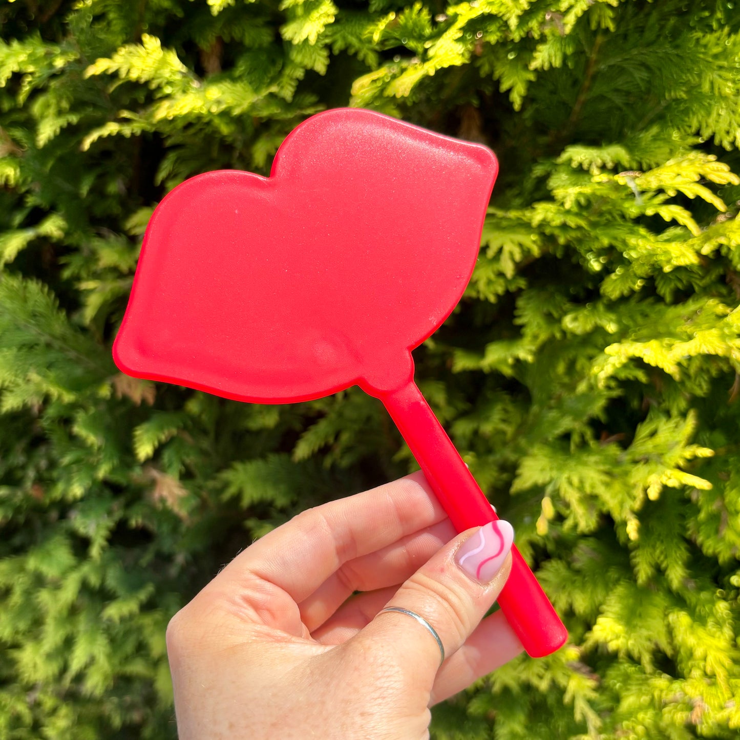 Hand Held Lip Shape Mirror
