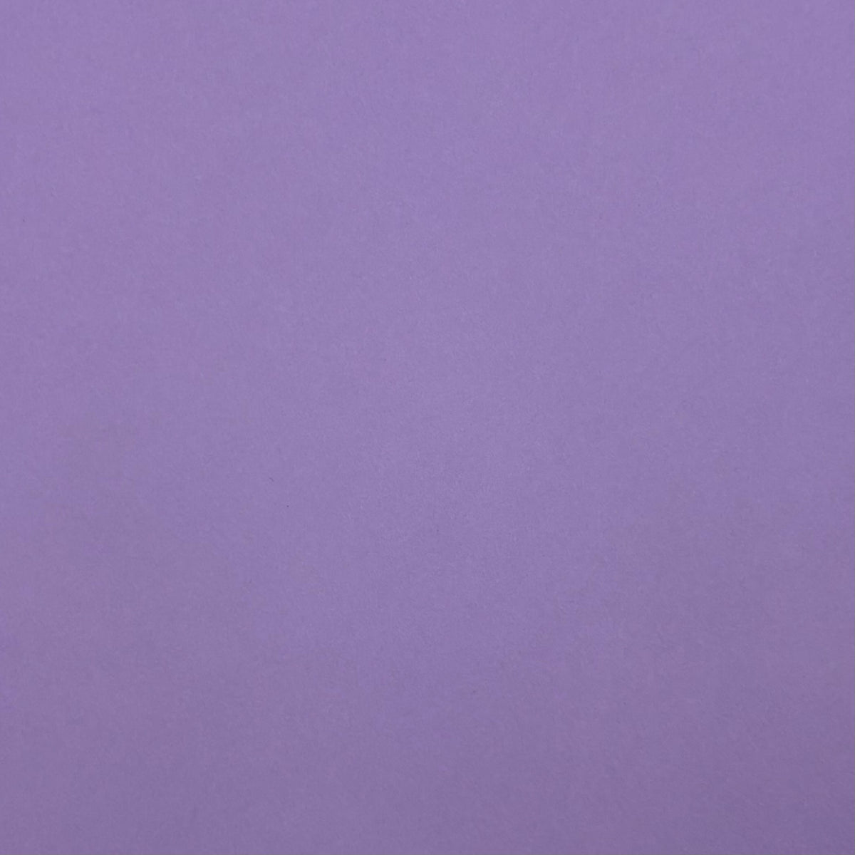 New Lilac A4 Plain Coloured Cardstock | 240GSM