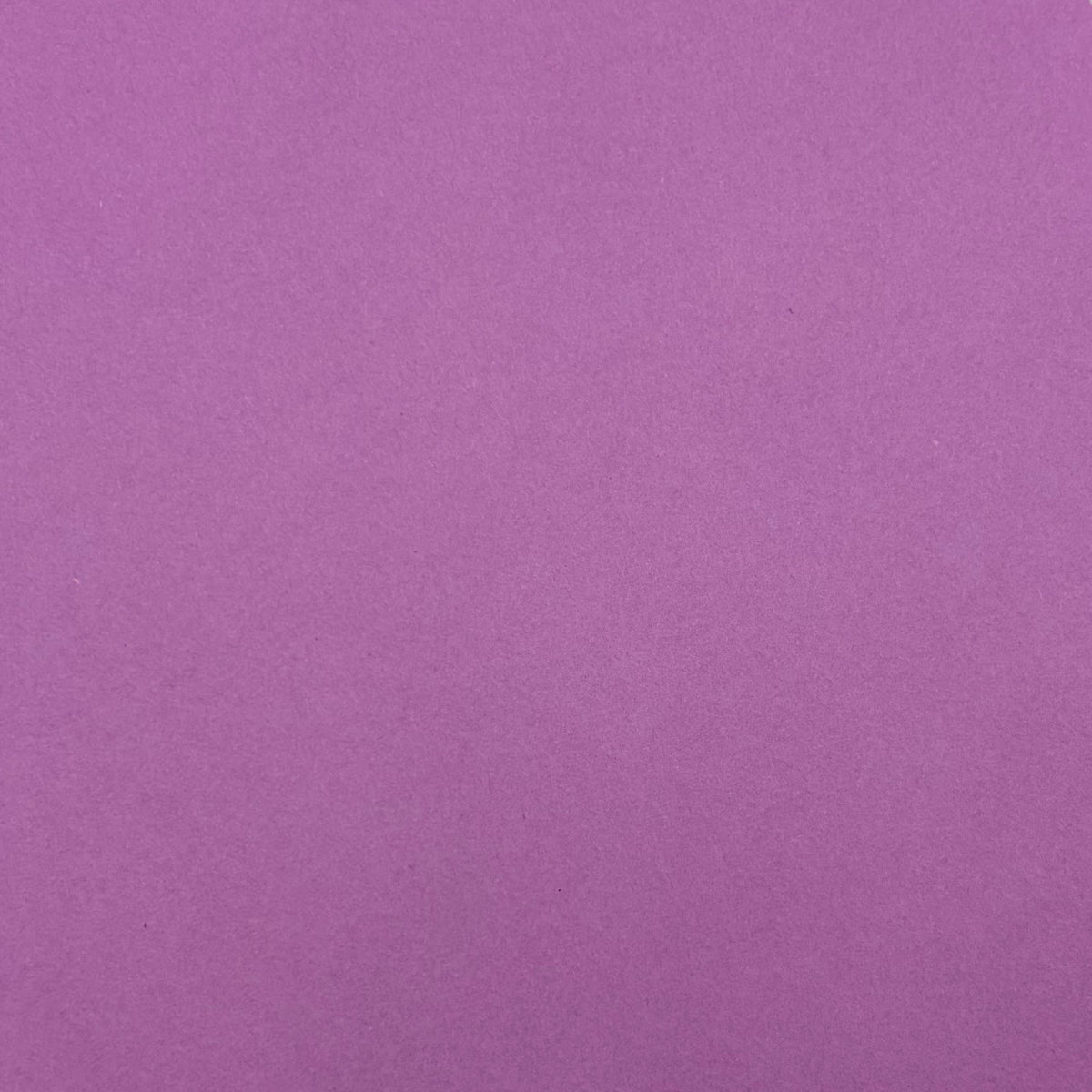 Soft Berry Pink A4 Plain Coloured Cardstock | 240GSM