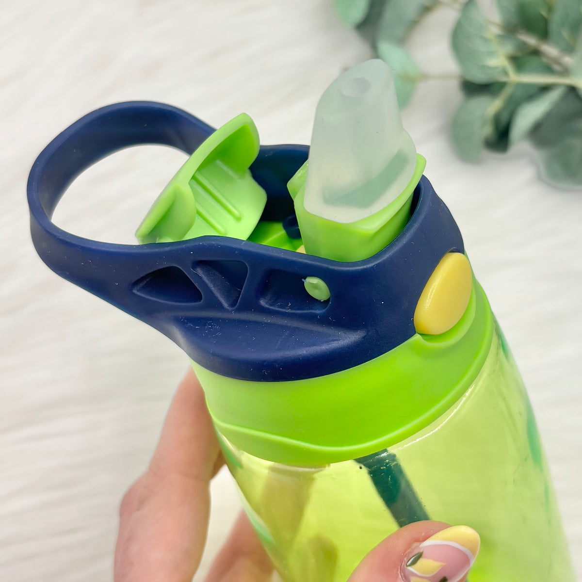 Flip Lid Plastic Water Bottle - Green & Navy