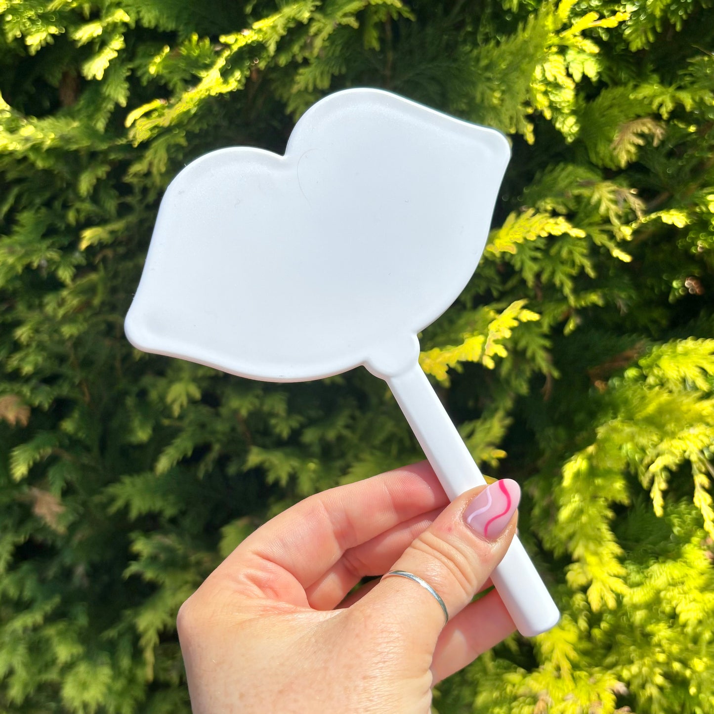 Hand Held Lip Shape Mirror
