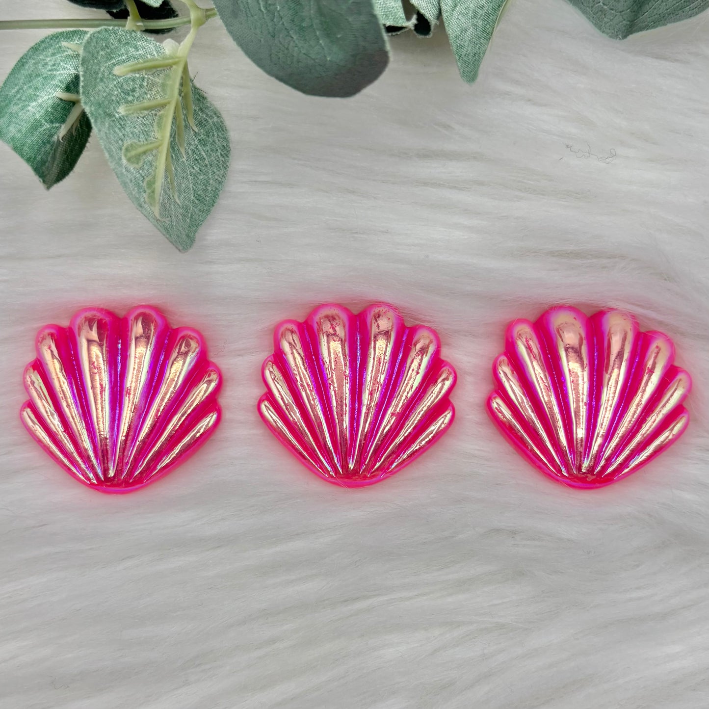 Sea Shells - Pack Of 3 Cabochons