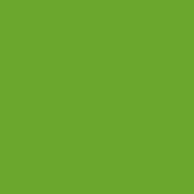 Oracal 651 Permanent Glossy Vinyl - Lime Tree Green 063