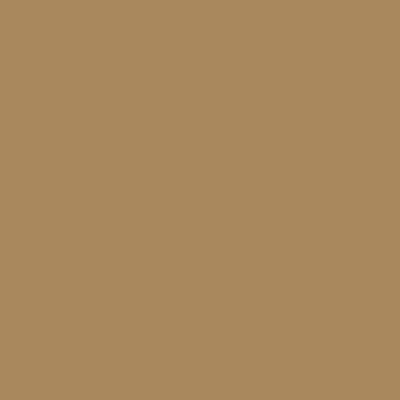Oracal 651 Permanent Glossy Vinyl - Light Brown 081