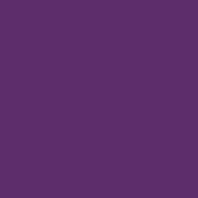 Oracal 651 Permanent Glossy Vinyl - Violet 040