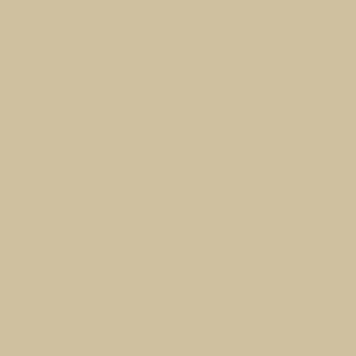 Oracal 651 Permanent Glossy Vinyl - Beige 082