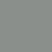 Oracal 651 Permanent Glossy Vinyl - Middle Grey 074