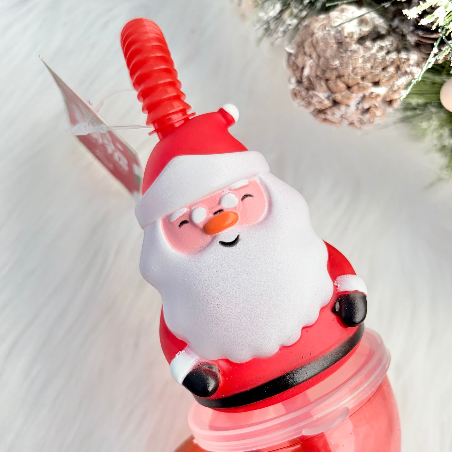 Santa Re-usable Plastic Bottle