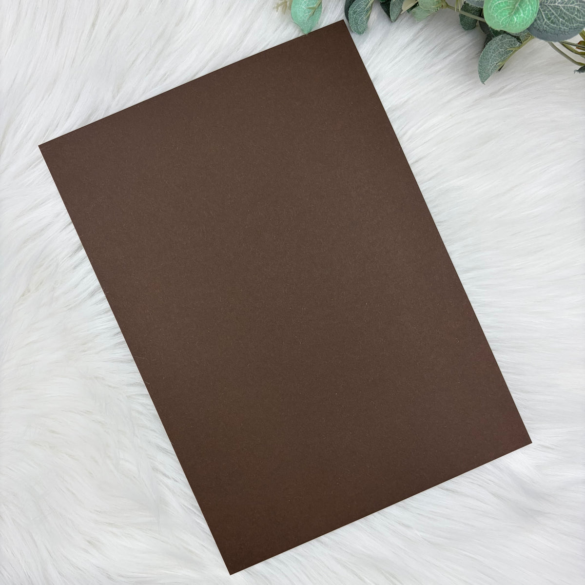 Mocha Brown A4 Plain Coloured Cardstock | 240GSM