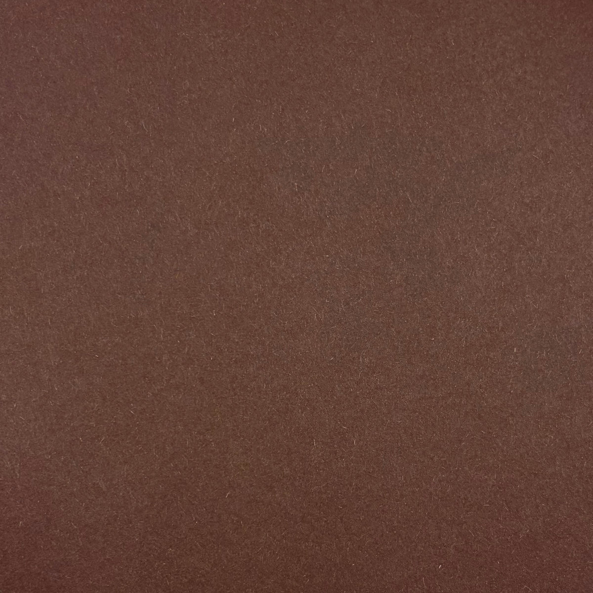 Mocha Brown A4 Plain Coloured Cardstock | 240GSM