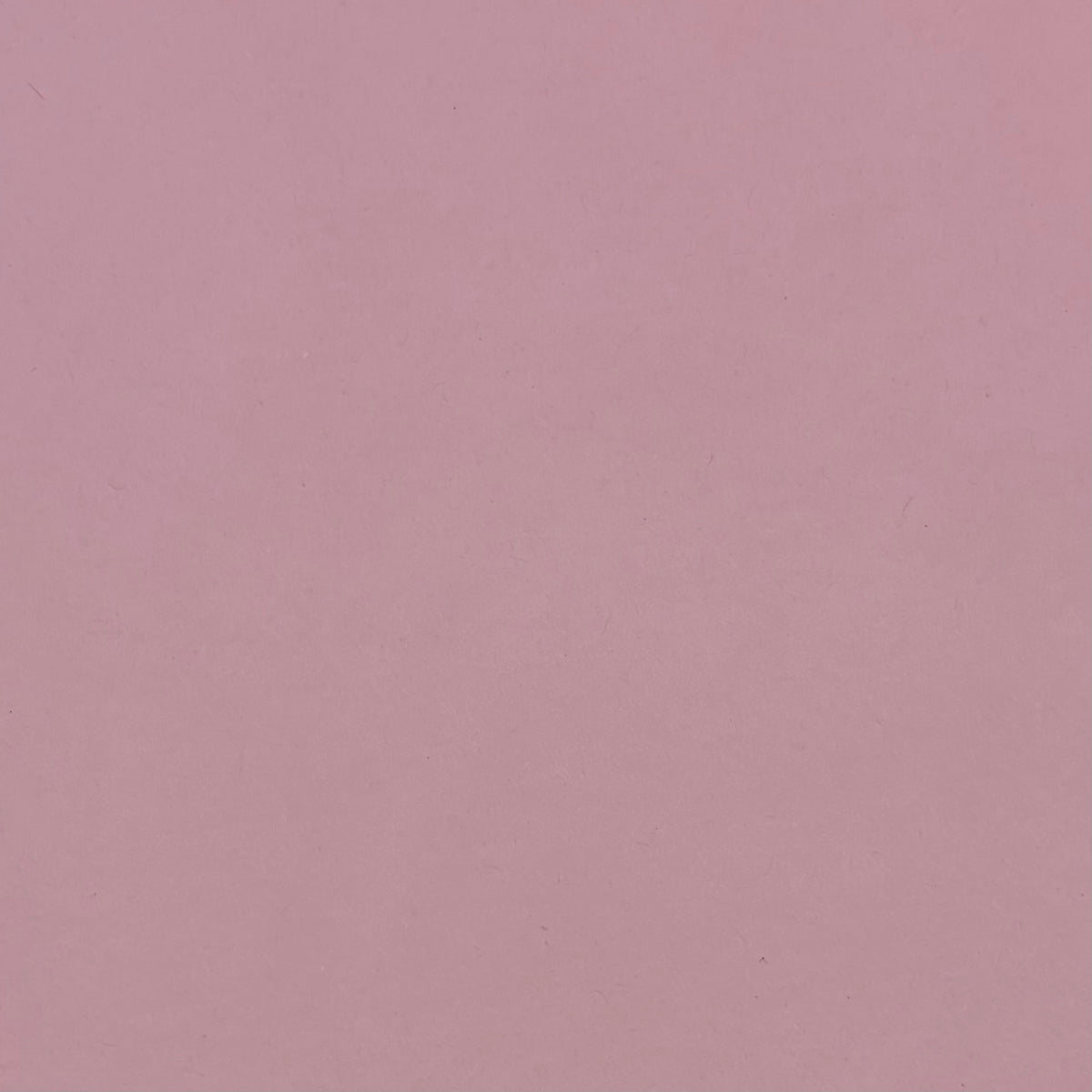 Baby Pink A4 Plain Coloured Cardstock | 240GSM