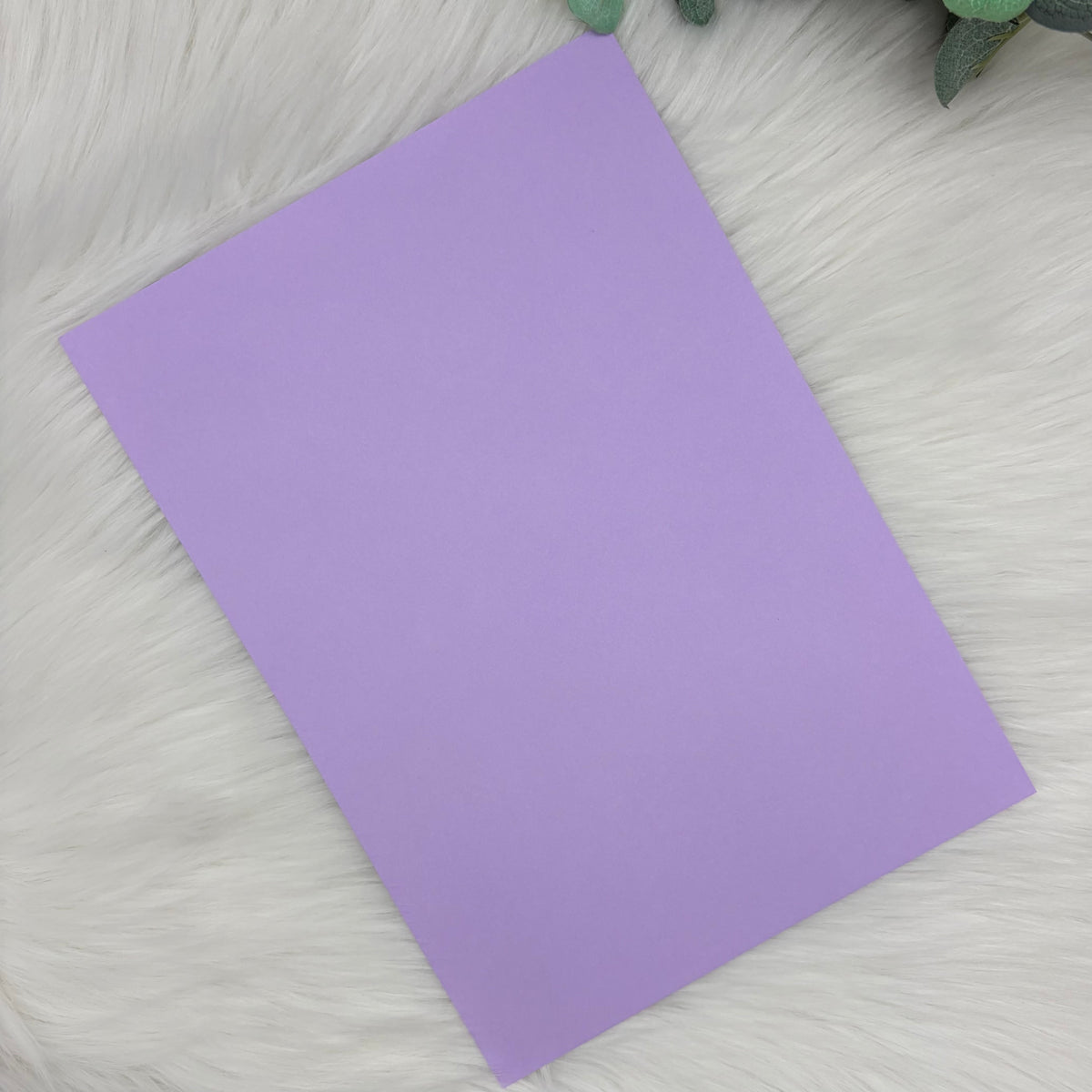 New Lilac A4 Plain Coloured Cardstock | 240GSM