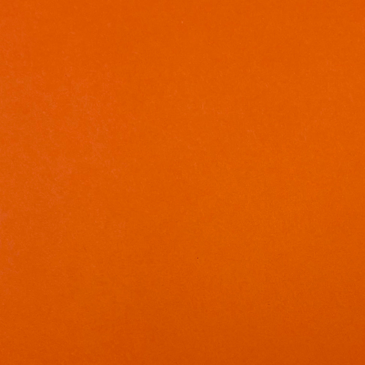 Mandarin Orange A4 Plain Coloured Cardstock | 240GSM