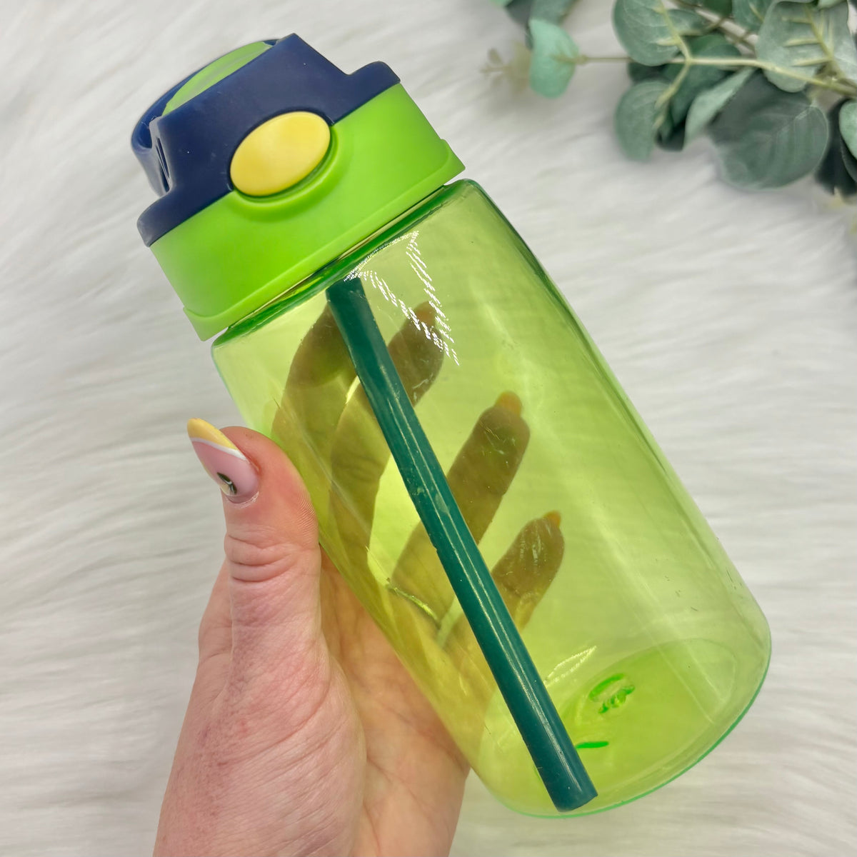 Flip Lid Plastic Water Bottle - Green & Navy
