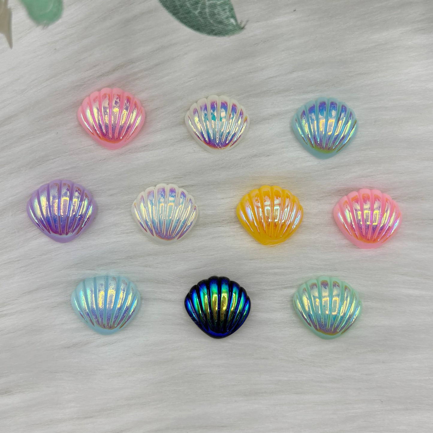 Mini Sea Shells - Pack of 10 Cabochons
