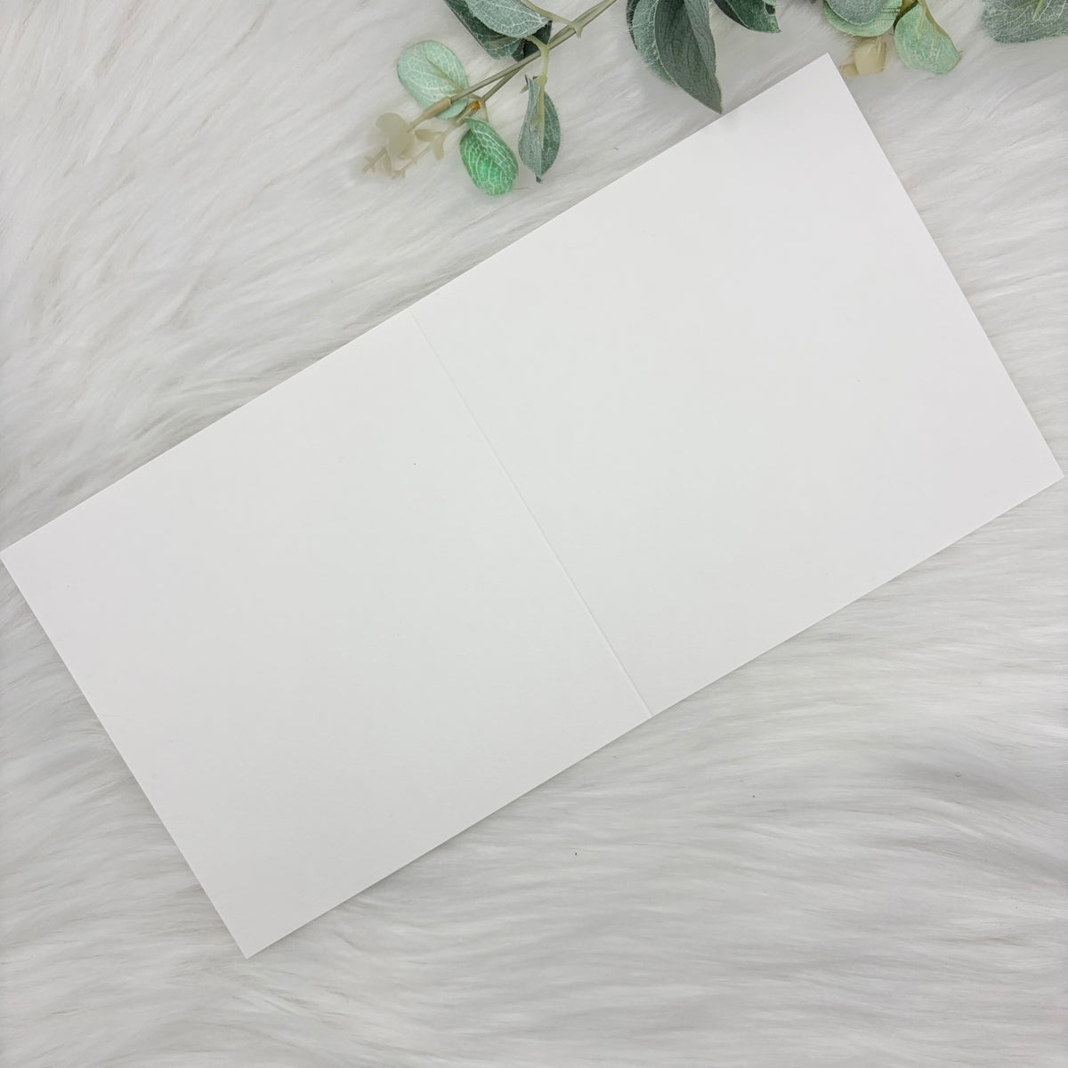 Plain White Card and Envelope - Pack Of 10 - 250GSM